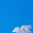 첫눈에반하다 이미지