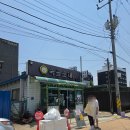 숙골순대