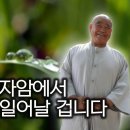 영혼, 윤회는 없다 | 중도에 대한 인식 바꿔야 | 성직자가 필요 없는 세상이 참세상 | '산골 노승의 화려한 점심' 향봉스님 8 끝 이미지