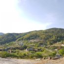 안태초등학교 이미지