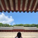 대신종묘농약사 이미지