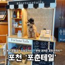 온산운동장 운동시설 | 포천 애견카페 포춘테일 내돈내산 솔직 후기｜운동장·수영장까지 완벽!