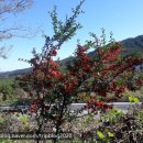 모래내행복마을 이미지