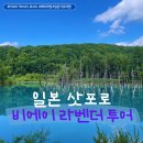 여름 삿포로 라벤더, 당일치기 비에이 버스투어 내돈내산 후기(팜도미타, 청의호수 등)