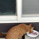 봉성리횟집성춘호 | [김포] 김포하성 대하맛집, 봉성리횟집 성춘호, 다시 가고 싶은 김포 추천 맛집