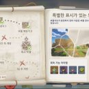 무회 | &#34;버그 찾기&#34;를 보물찾기처럼 게임화해본 후기