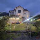 님 바래기 이미지