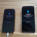 6698 | [내돈내산] 아이폰 17 색상, 256GB 구입 후기