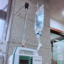 뿌꾸나라 이미지