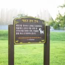 광주학생교육문화회관실내수영장 네이버블로그
