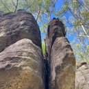 Lost World Blue Mts N. P. NSW 28 Mar 2026 by Mateo Kim n John JH Hwang 이미지