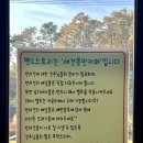 펫앤스토리 이미지