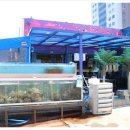 속초상회 이미지