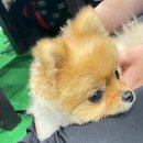 하이민턴배드민턴장