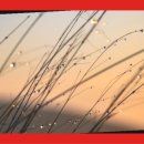 재활나라 이미지