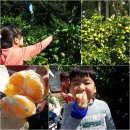 요셉농장2 이미지