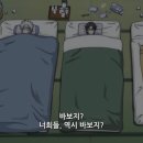 피그닉 이미지