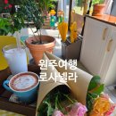 로사넬라 | 원주여행 아이와 가볼만한 곳 장미카페 로사넬라
