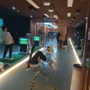 스마트골프아카데미 광양점 이미지