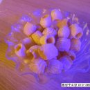 영희비어 이미지