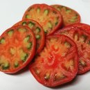 남덕농장 | 부산 대저 토마토 짭짤이 직거래 실시! (대저토마토 : 짭짤이의 비밀)