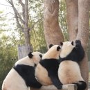 옹기종기 - 남양주시 와부읍 | 옹기종기