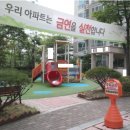솔채 이미지