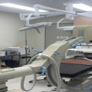 부산야생동물치료센터 이미지