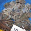 오족브라더스 이미지