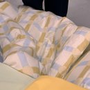 3665 | 2026 서울리빙디자인 페어 후기 및 쇼핑 추천템