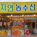 대정생활야구장 이미지