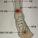 아틀라스 트레이닝센터 이미지