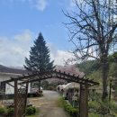 더설레임펜션 이미지