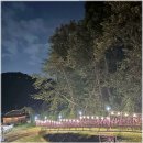 고기숲 | 시흥바베큐 고기숲 가족외식 만족후기