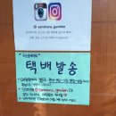 호박가든 이미지