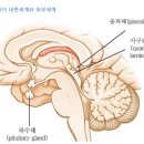 인간의 내면세계와 외부세계 이미지