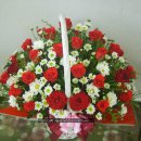 판교로255번길 이미지