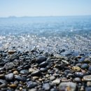 염포해수욕장 이미지