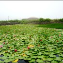 김석린 진사 생가 이미지