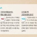 작심삼일 이미지