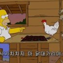 아인셀 이미지