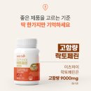 임팩트디자인 이미지