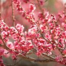 지금관광농원 이미지