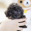 오마이프렌즈 이미지