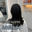 위드헤어 | 장항동 일산웨스턴돔 오위드헤어 레이어드컷 솔직후기ㅣ롱레이어드컷 추천