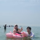 인천 무의도 하나개 해수욕장 서해 바다 당일치기 ( 물때, 갯벌체험 )