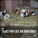 물수