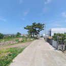 제주가자공인중개사사무소 이미지