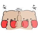 엘리트 복싱 Gym 이미지