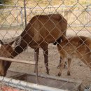 고을숯불갈비 이미지